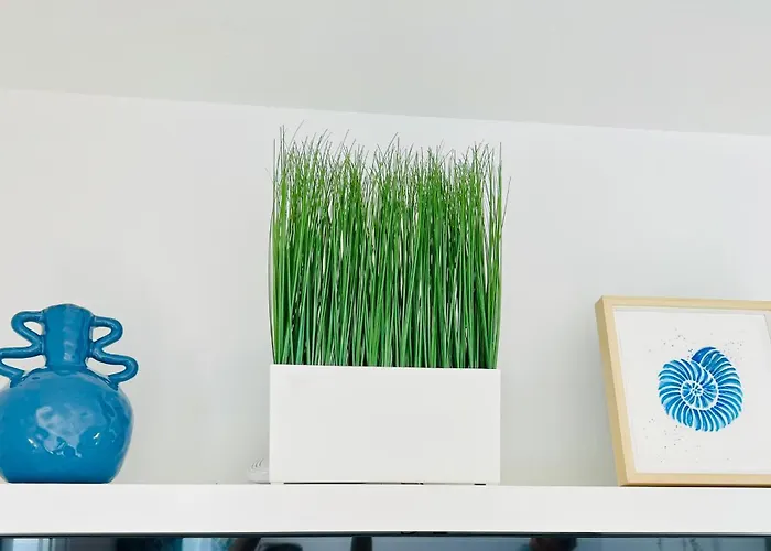 Апартаменты Casa Oasis Пуэрто дель Кармен